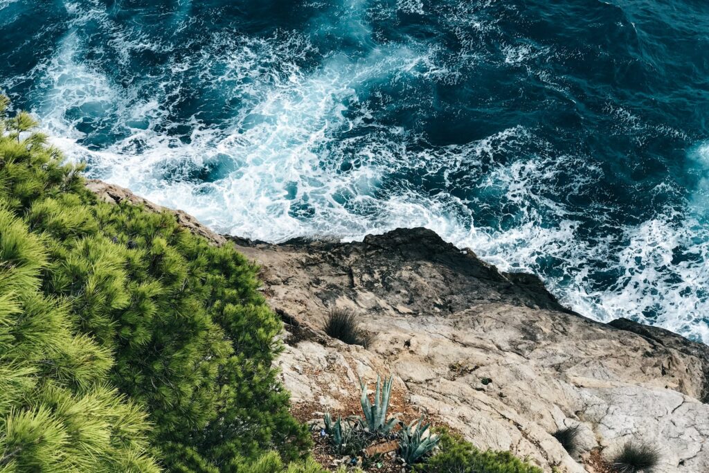 pexels-photo-1690379