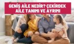 Geniş Aile Nedir?