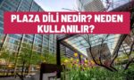 Plaza Dili Nedir?