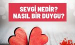 Sevgi Nedir