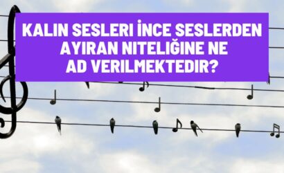 Kalın Sesleri İnce Seslerden Ayıran Niteliğine Ne Ad Verilmektedir?